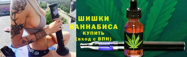 винт Абаза