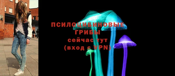 винт Абаза