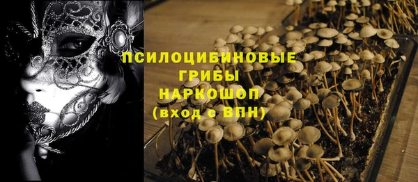 мяу мяу мука Абинск